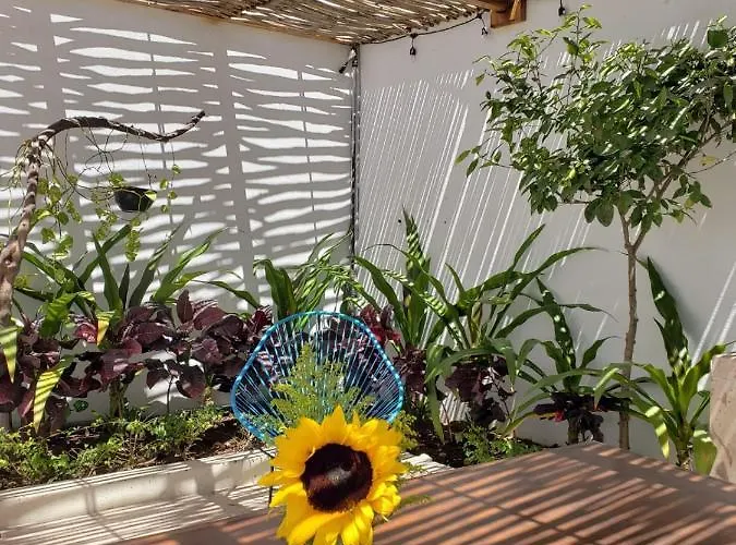 Casa Palo Gasthof 4*